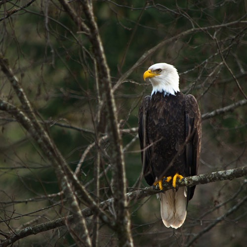 Source: uberhumor / Unknown photographer