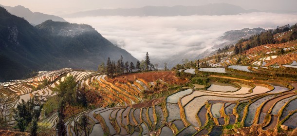 In China, rice terraces high up on a mountain side.
