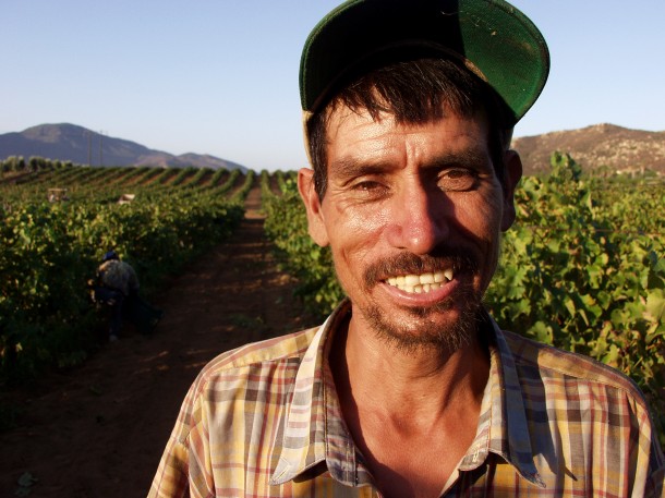 A poor grape worker in Baja California, Mexico