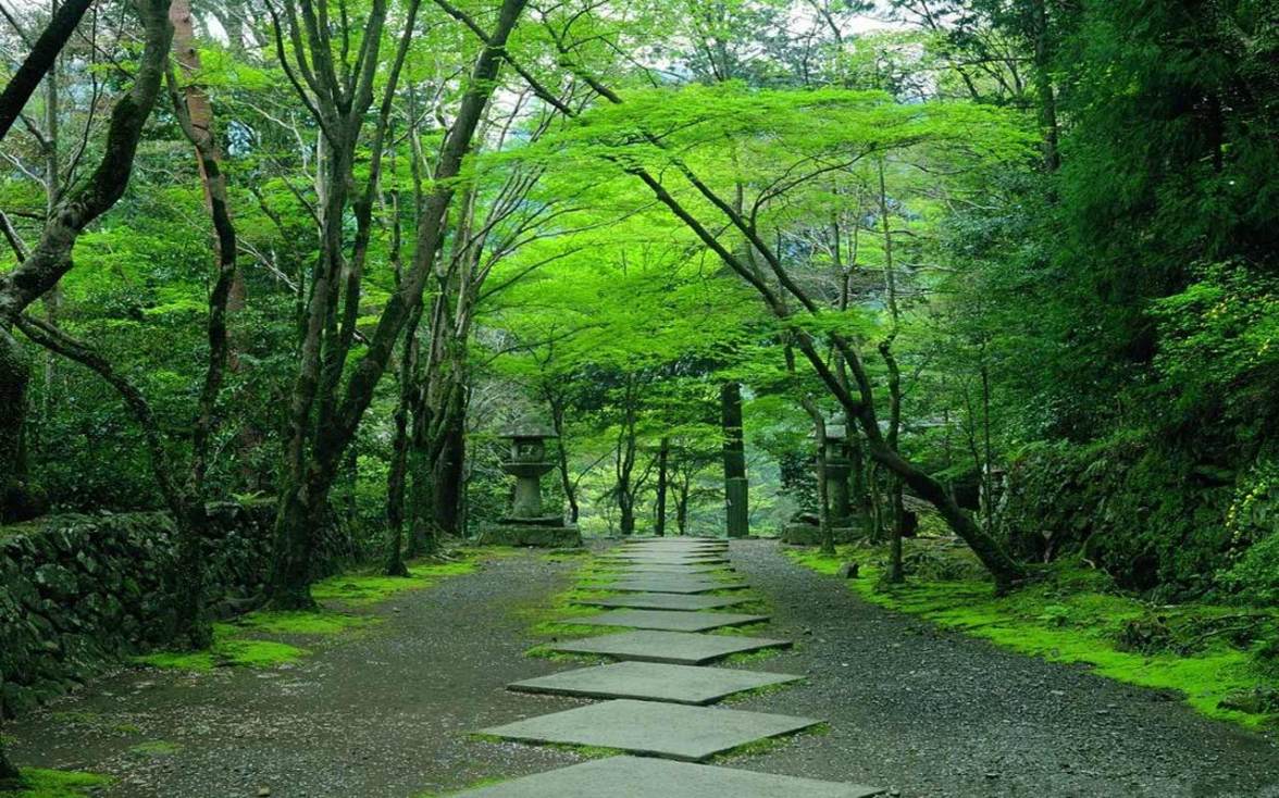 Japanese Garden in Kyoto, Japan