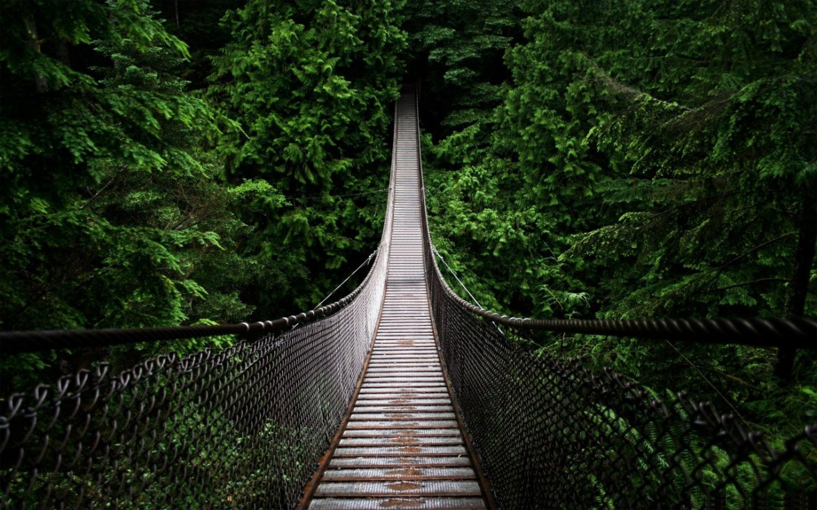 Suspension Bridge