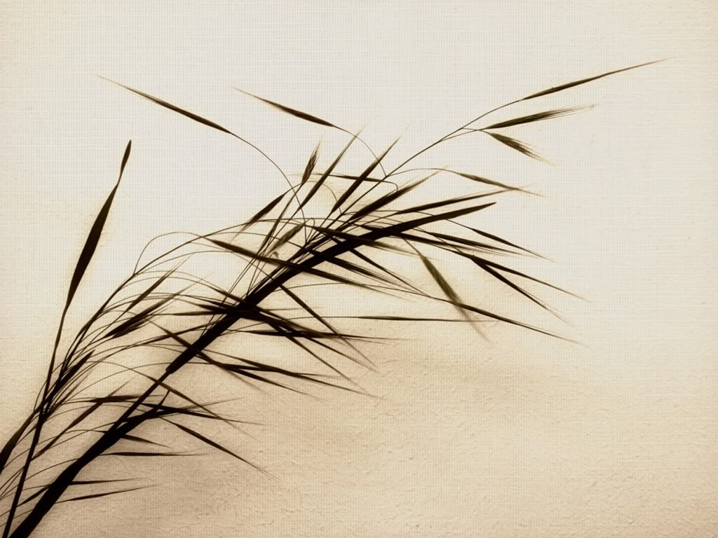 Zen Bamboo Spiritual