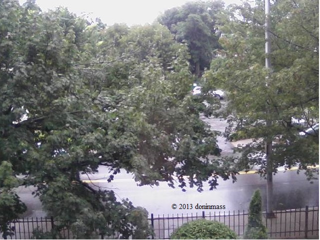 Looking out the window on a muggy and rainy morning.