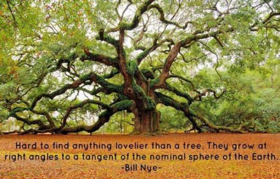 Hard-to-find-anything-lovelier