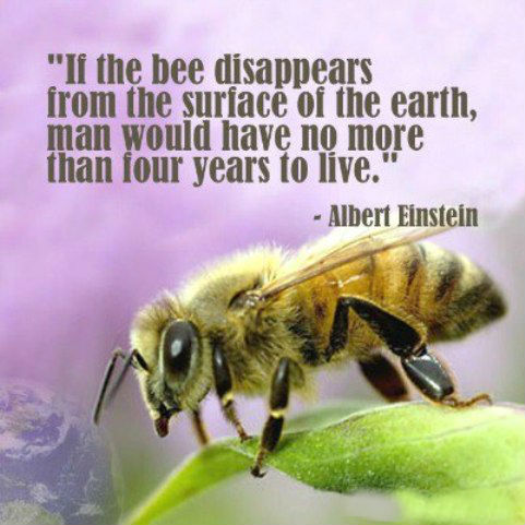 If-the-bee-disappears