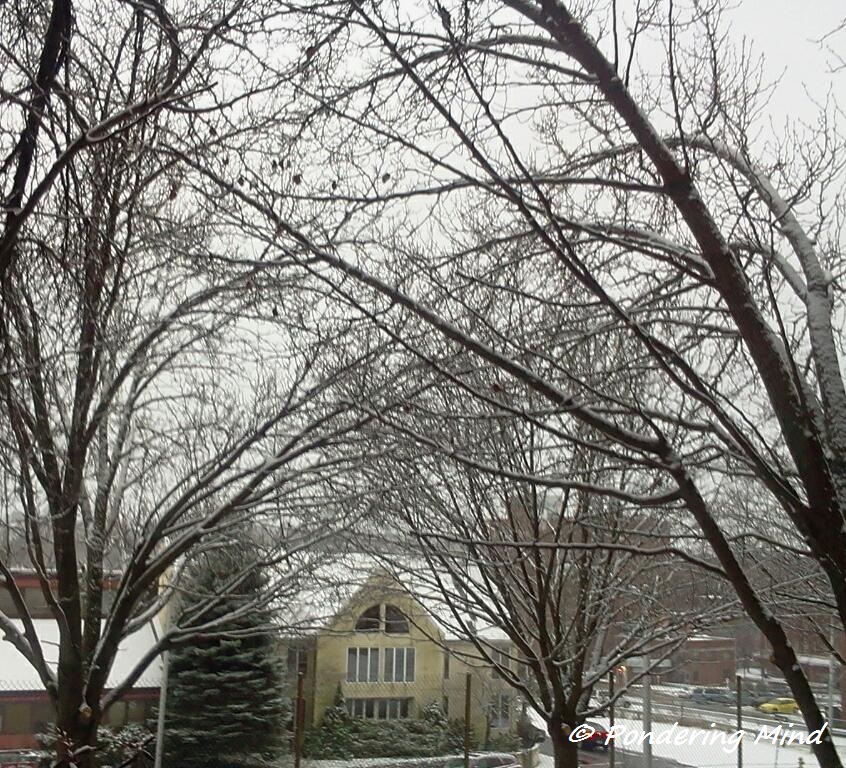 Snow December 9 2013