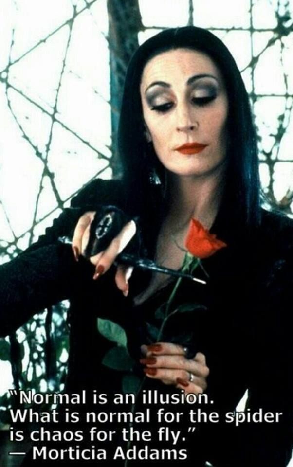 Morticia-Addams-Normal-is-an-illusion