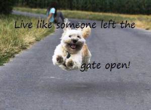 1. Set your soul free to soar and be who you were meant to be