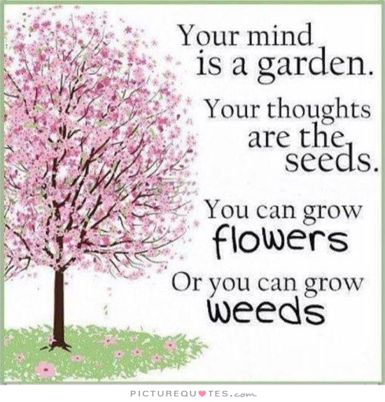 your-mind-is-a-garden-your-thoughts-are-the-seeds-you-can-grow-flowers-or-you-can-grow-weeds-quote-1