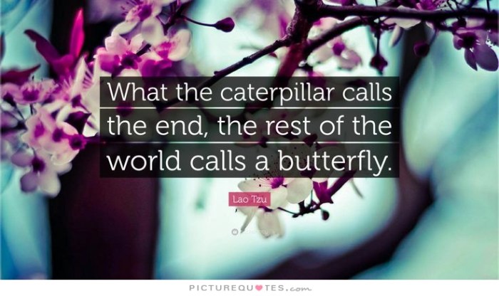 what-the-caterpillar-calls-the-end-the-rest-of-the-world-calls-a-butterfly-quote-1