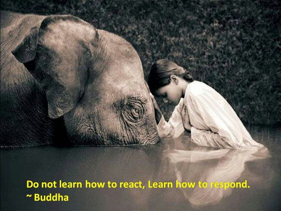 Buddha-Learn-how-to-respond