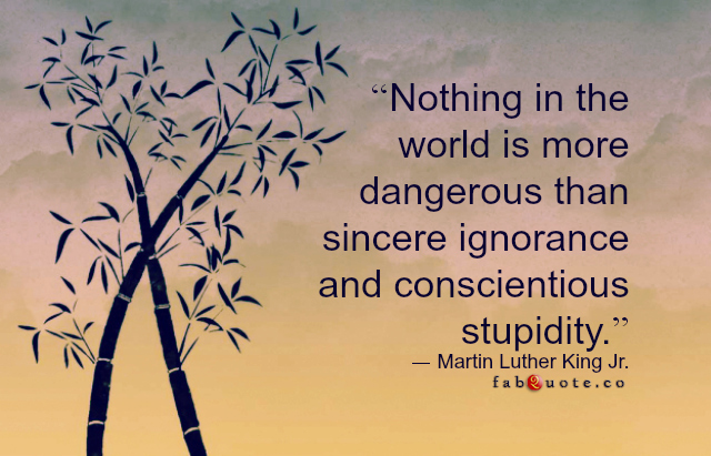 Martin-Luther-King-Jr.-Ignorance-and-Stupidity